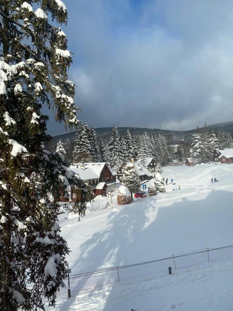 Spirit Harrachov Superior Wellness Apartments - Free Wellness, Wifi, Parking, Harrachov Card 外观 照片