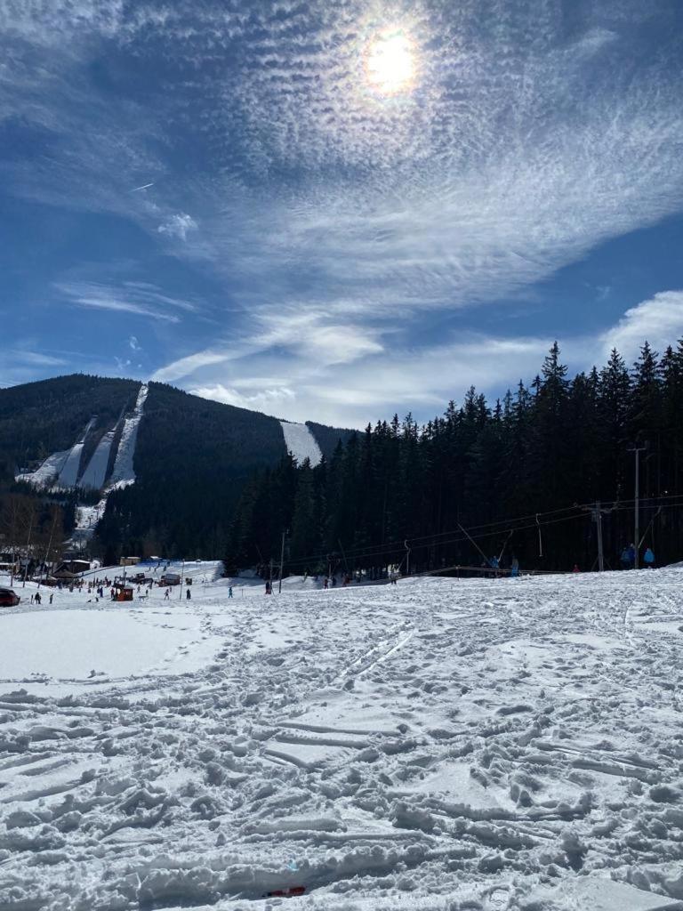 Spirit Harrachov Superior Wellness Apartments - Free Wellness, Wifi, Parking, Harrachov Card 外观 照片
