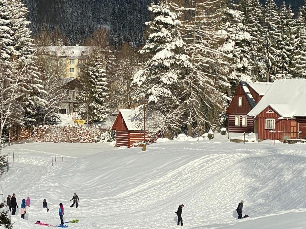 Spirit Harrachov Superior Wellness Apartments - Free Wellness, Wifi, Parking, Harrachov Card 外观 照片